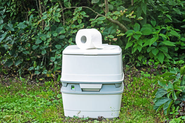 Best Porta potty rental for festivals  in Mendota, IL