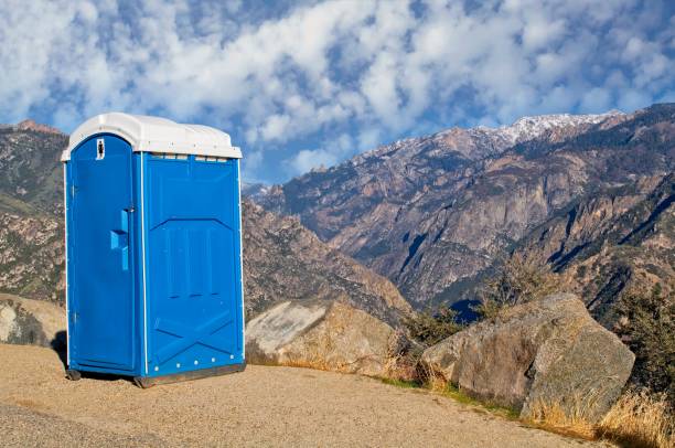 Best Porta potty rental for outdoor events  in Mendota, IL