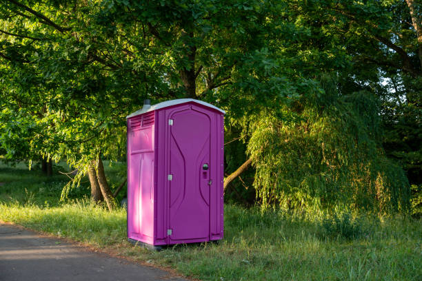 Porta potty rental for outdoor events in Mendota, IL